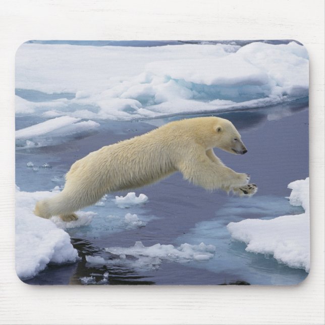 Tapis De Souris Arctique, Svalbard, Ours polaire s'étendant (Devant)