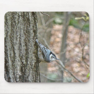 Tapis De Souris Ardoise Gris Nuthatch Songbird Articles Coordonnés