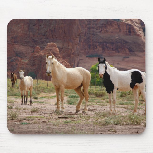 Tapis De Souris Arizona, Navajo réserve indienne, Chinle, (Devant)
