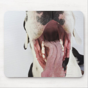 Tapis De Souris Arlequin grand Danois avec bouche ouverte, gros pl