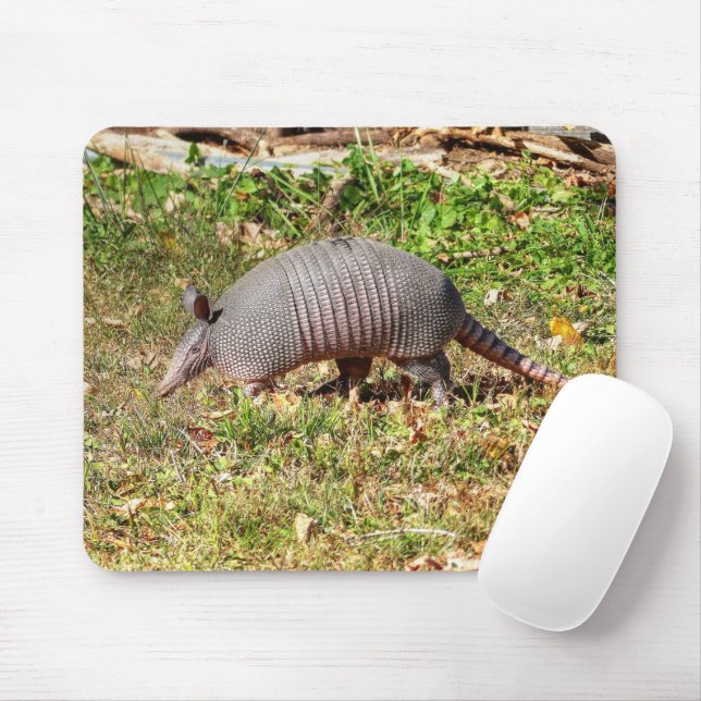 Tapis De Souris Armadillo (Avec souris)