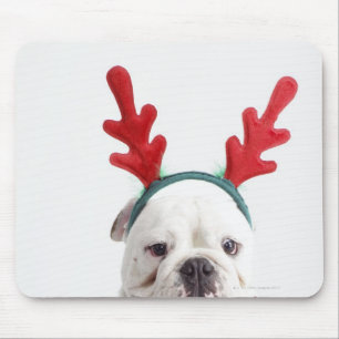 Tapis De Souris arrière - plan blanc, bouledogue masculin blanc,