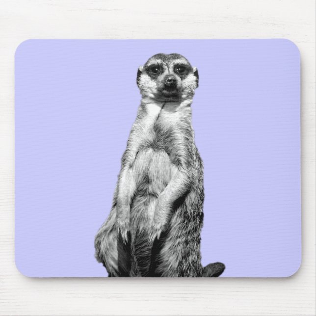Tapis De Souris Arrière - plan de bigorneau de Meerkat (Devant)