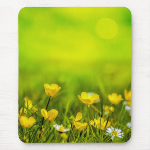 Tapis De Souris Arrière - plan des fleurs de printemps
