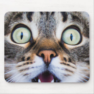 Tapis De Souris Art du chat   Surprised Kitty   Funny Kitten Mouse