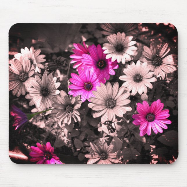 Tapis De Souris Art Fleur de marguerites africaines (Devant)