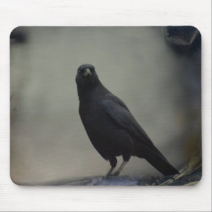 Tapis De Souris Art Old Crow