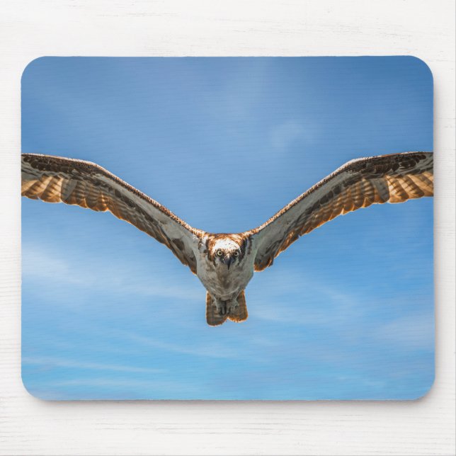 Tapis De Souris Art photographique de la faune en vol de l'aigle d (Devant)