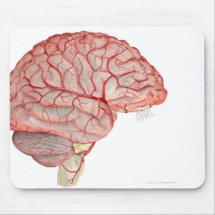 Tapis De Souris Artères du cerveau