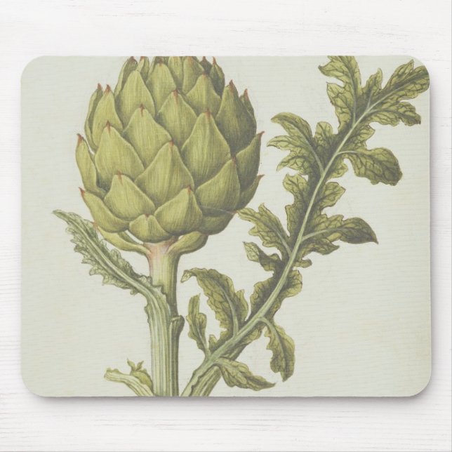 Tapis De Souris Artichaut : Scolymus de Cynara, c.1568 (Devant)