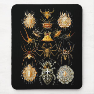 Tapis de souris artiste vintage Ernst Haeckel Arac