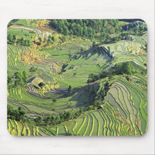 Tapis De Souris Asie, Chine, Yunnan, Yuanyang. Motif de vert