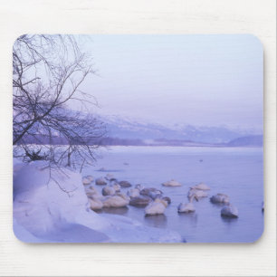 Tapis De Souris Asie, Japon, Hokkaido, Parc national d'Akan, Cygne