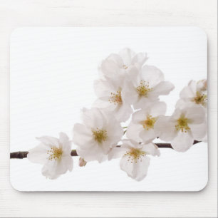 Tapis de souris assez blanc de fleurs de cerisier