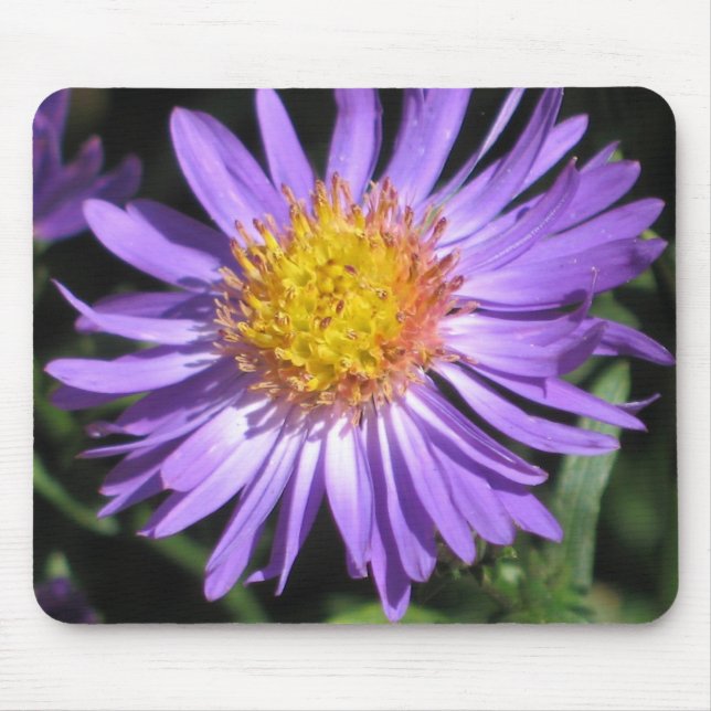 Tapis De Souris Aster Mousepad (Devant)