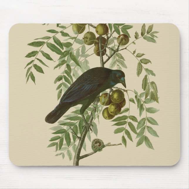 Tapis De Souris Audubon American Crow Black Bird (Devant)