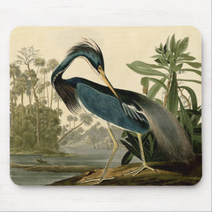 Tapis De Souris Audubon Héron de Louisiane Oiseaux Amérique Art
