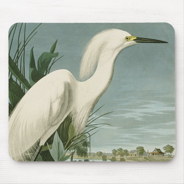 Tapis De Souris Audubon Héron de neige Oiseaux d'aigrettes blanche (Devant)