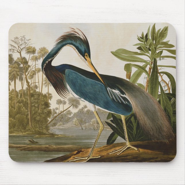 Tapis De Souris Audubon petit héros bleu (Devant)
