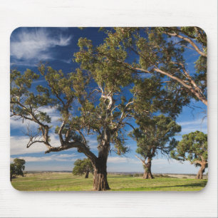 Tapis De Souris Australie, Barossa Valley, Mount Pleasant