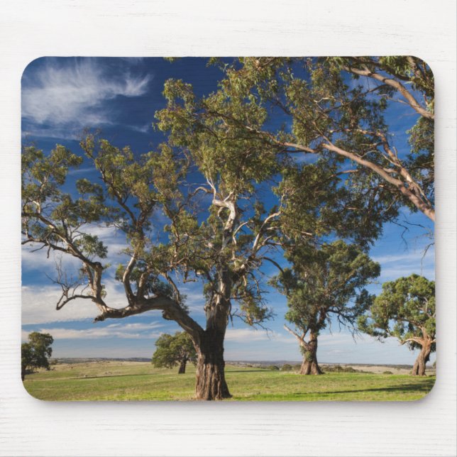 Tapis De Souris Australie, Barossa Valley, Mount Pleasant (Devant)