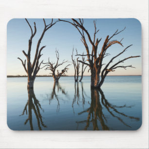 Tapis De Souris Australie, vallée du Murray, Barmera, lac