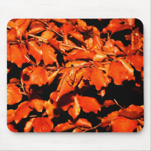 Tapis De Souris Automne en forêt