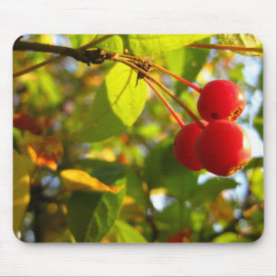 Tapis De Souris Automne fleurissant Mousepad de Crabapple