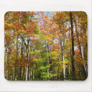 Tapis De Souris Automne Forêt II Automne Paysage Photographie