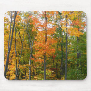 Tapis De Souris Automne Maple Trees Automne Photographie de la nat