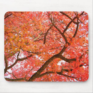 Tapis De Souris Automne Mousepad Beaux Cadeaux Paysages Automne