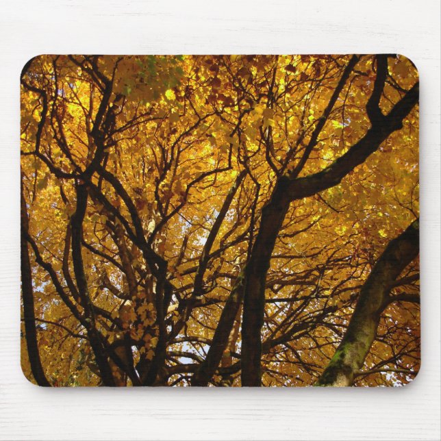 Tapis De Souris Automne Mousepad Beaux Cadeaux Paysages Automne (Devant)