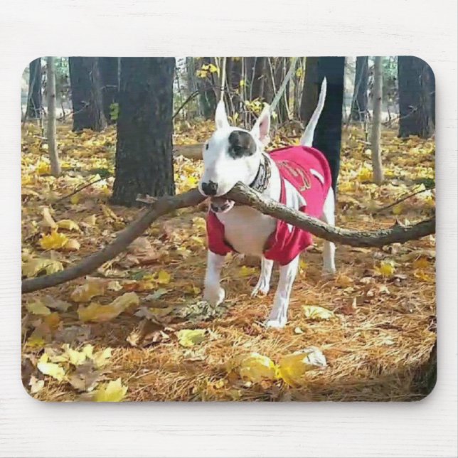 Tapis De Souris Automne Rex mousepad (Devant)