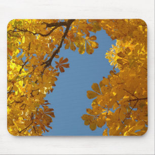 Tapis De Souris Automne Tombant Feuille châtaigne