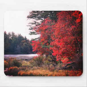 Tapis De Souris Autumn Leaves Marsh Nature