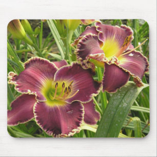 Tapis de souris avec des paires de Daylilies