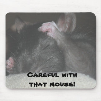 Tapis de souris avec la souris