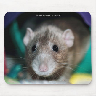 Tapis de souris avec un rat de fantaisie d'abruti