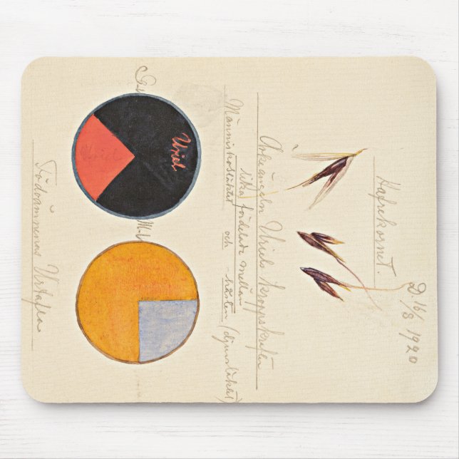 Tapis De Souris avoine, 1920 par Hilma af Klint (Devant)