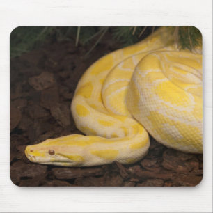 Tapis De Souris Awesome Yellow Burmese Python