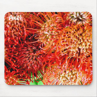 Tapis De Souris AXEL ~ Banksia d'attaque personnalisée ~