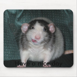 Tapis De Souris , Ayez un beau jour
