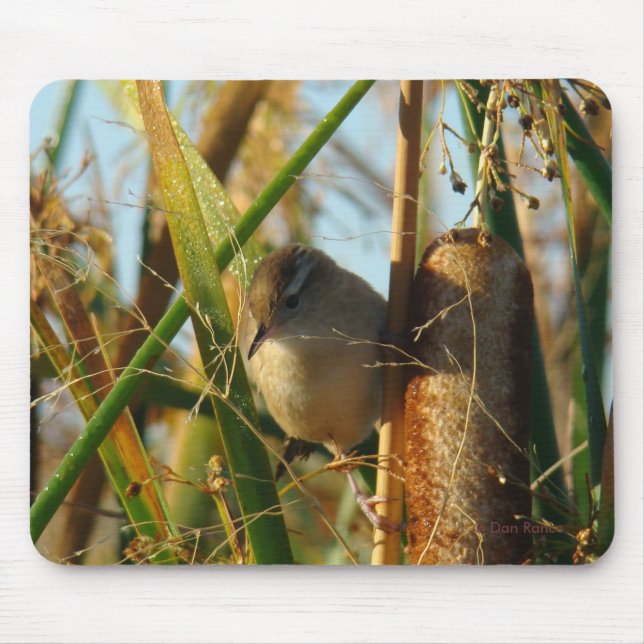 Tapis De Souris B3 Marsh Wren (Devant)