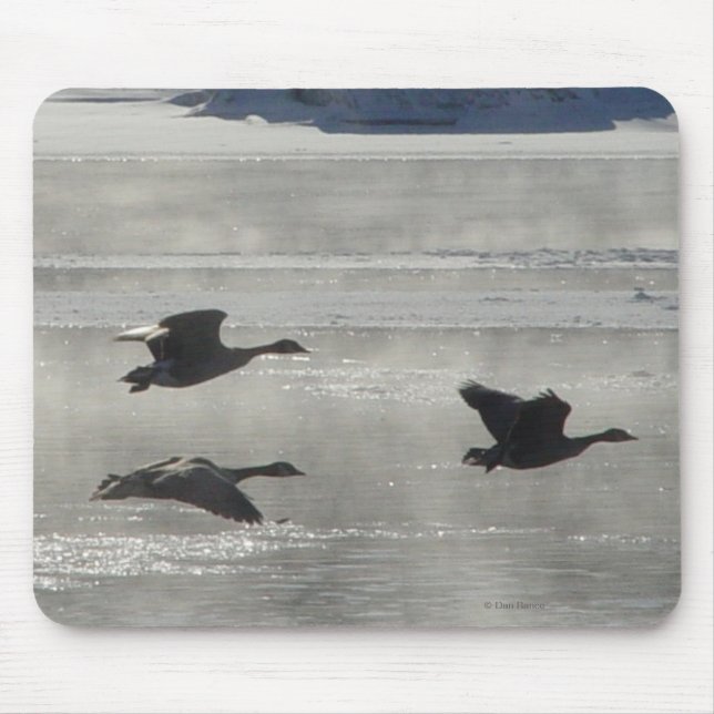 Tapis De Souris B47 Bernaches Du Canada Sur Une Rivière Gelée (Devant)
