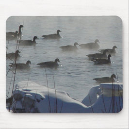 Tapis De Souris B49 Bernaches du Canada sur une rivière gelée
