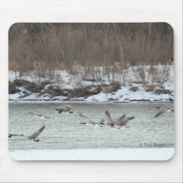 Tapis De Souris B7 Bernaches du Canada en vol