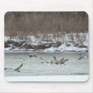 Tapis De Souris B7 Oies canadiennes en vol