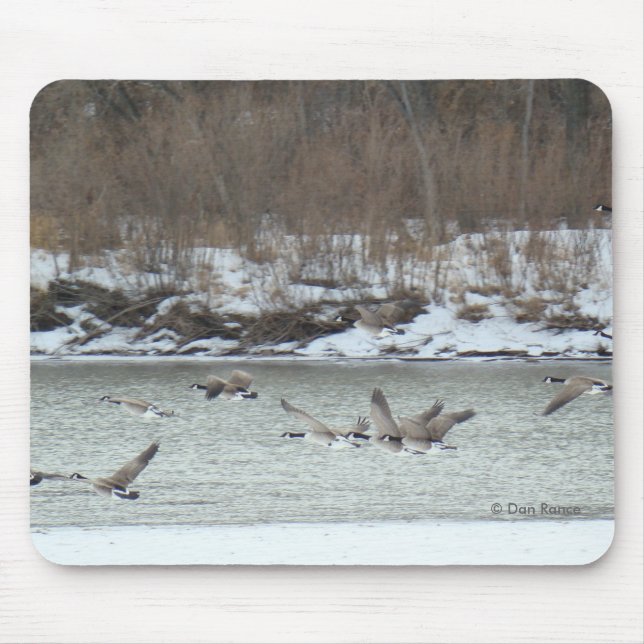 Tapis De Souris B7 Oies canadiennes en vol (Devant)
