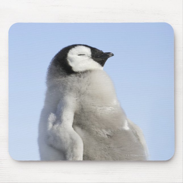 Tapis De Souris Baby Empereur Penguin, île de Snow Hill (Devant)