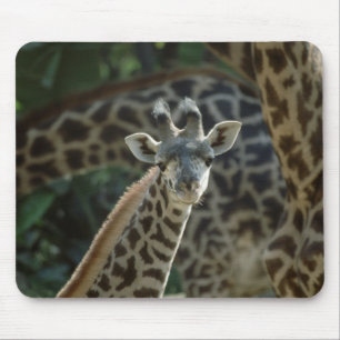 Tapis De Souris Baby Giraffe